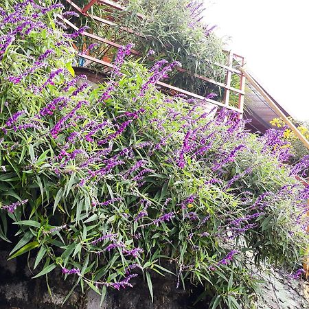 Sapa Tatu Homestay 외부 사진