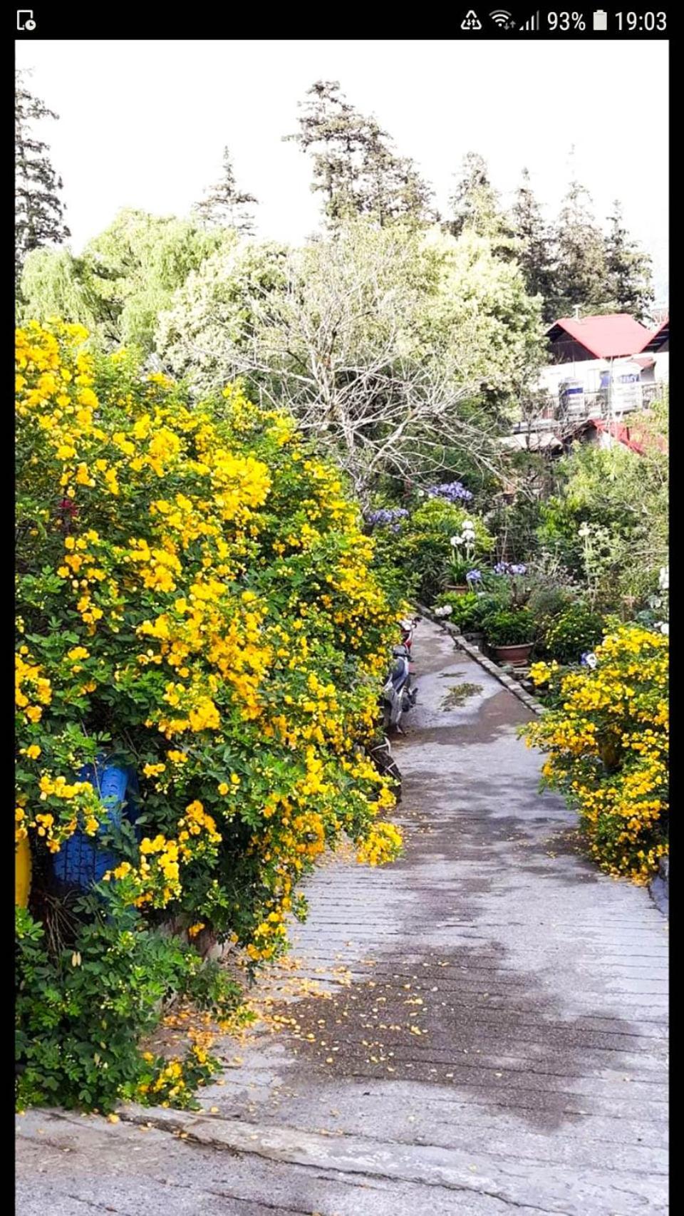 Sapa Tatu Homestay 외부 사진